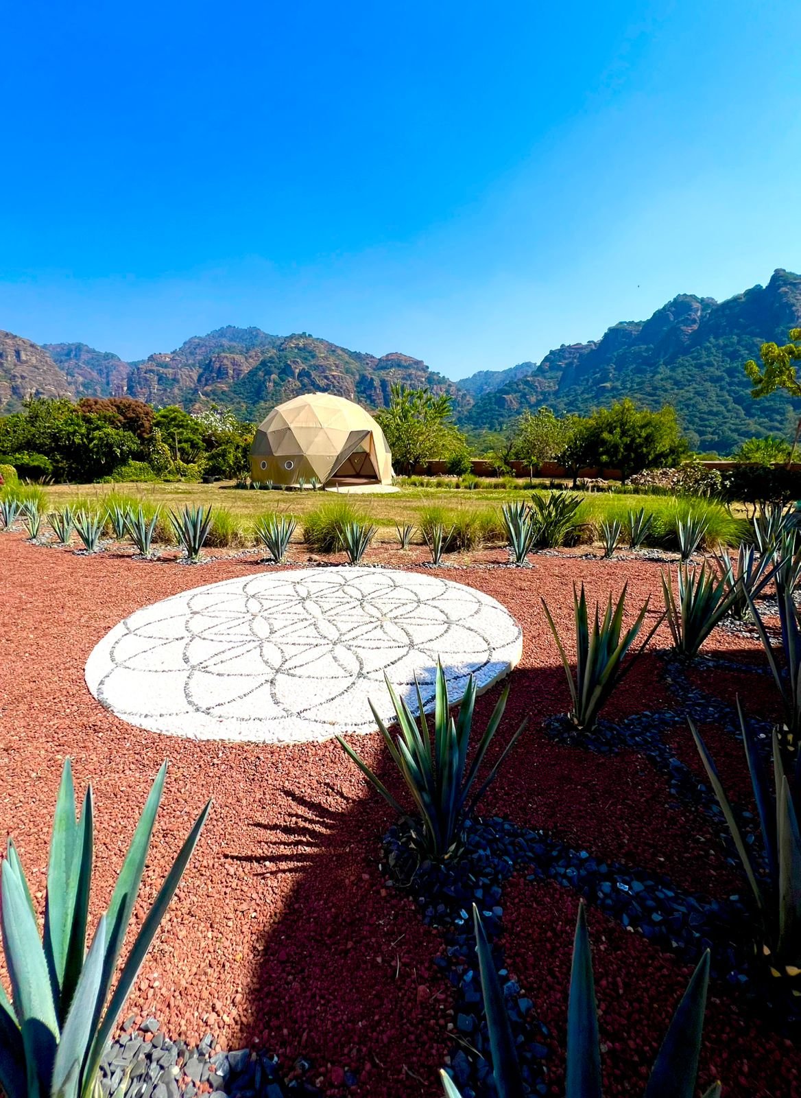 Despertar de Sentidos